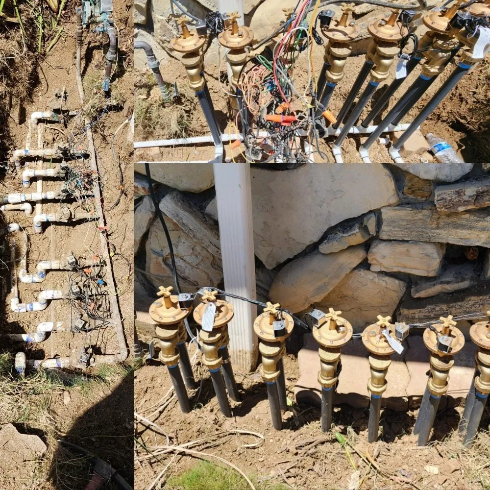 Reliable landscaping services with custom design in Los Angeles, CA by Immaculate Landscape