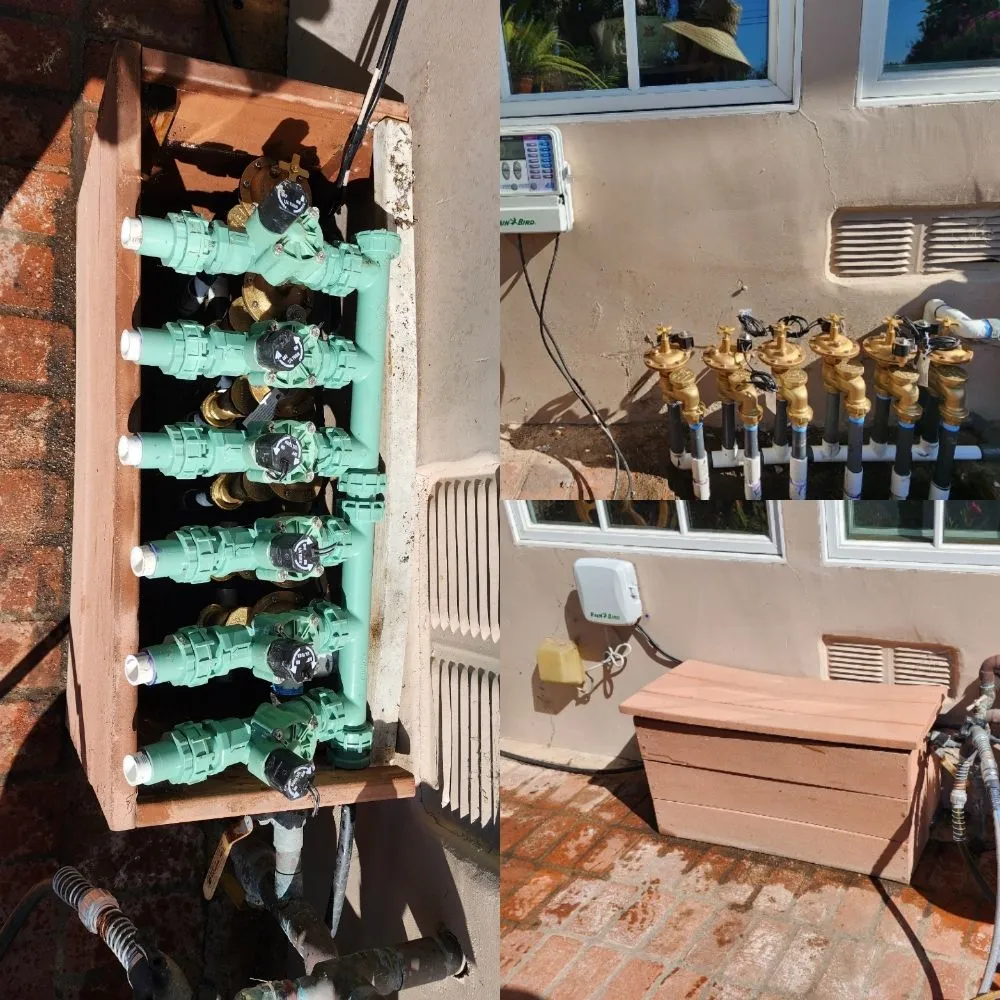 Professional yard cleanup service for residential properties across Los Angeles, CA - Immaculate Landscape