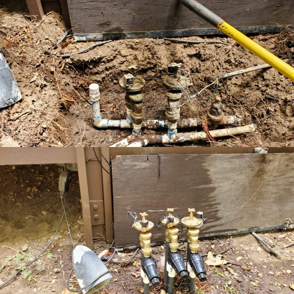 Reliable landscape design in Los Angeles, CA - Immaculate Landscape