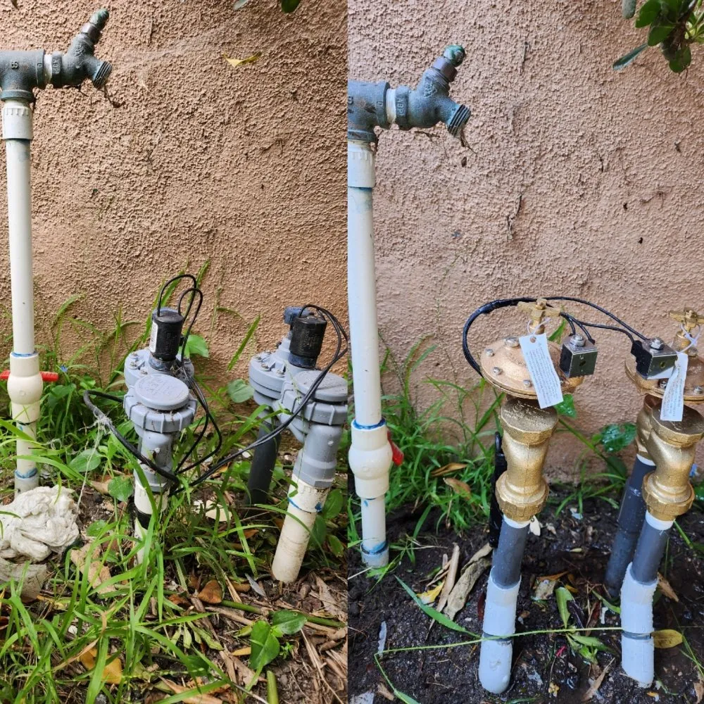 Expert landscaping services for year-round maintenance across Los Angeles, CA - Immaculate Landscape