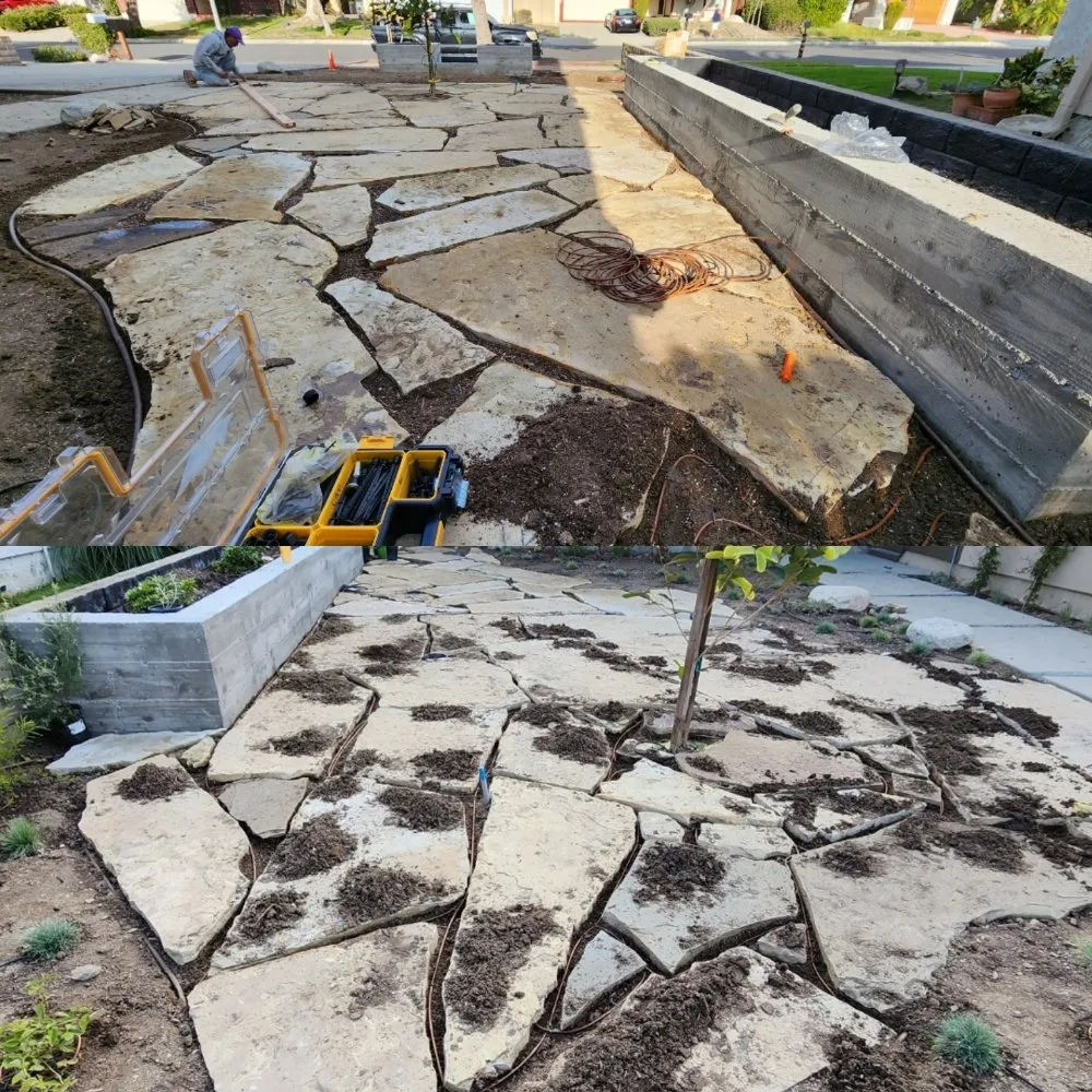 Professional landscape installation in Los Angeles, CA - Immaculate Landscape