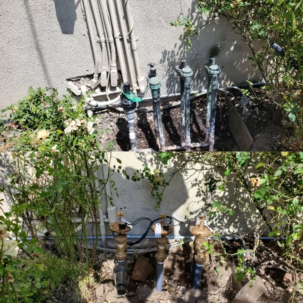 Affordable landscape installation in Los Angeles, CA by Immaculate Landscape