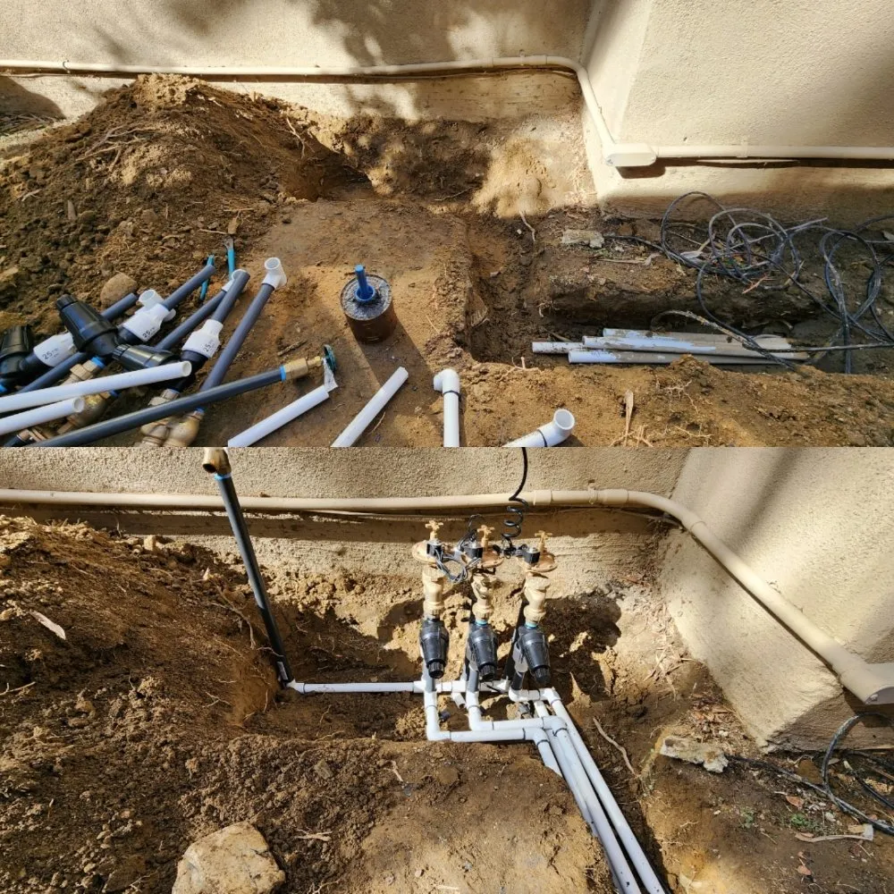 Affordable landscaping services in Los Angeles, CA - Immaculate Landscape