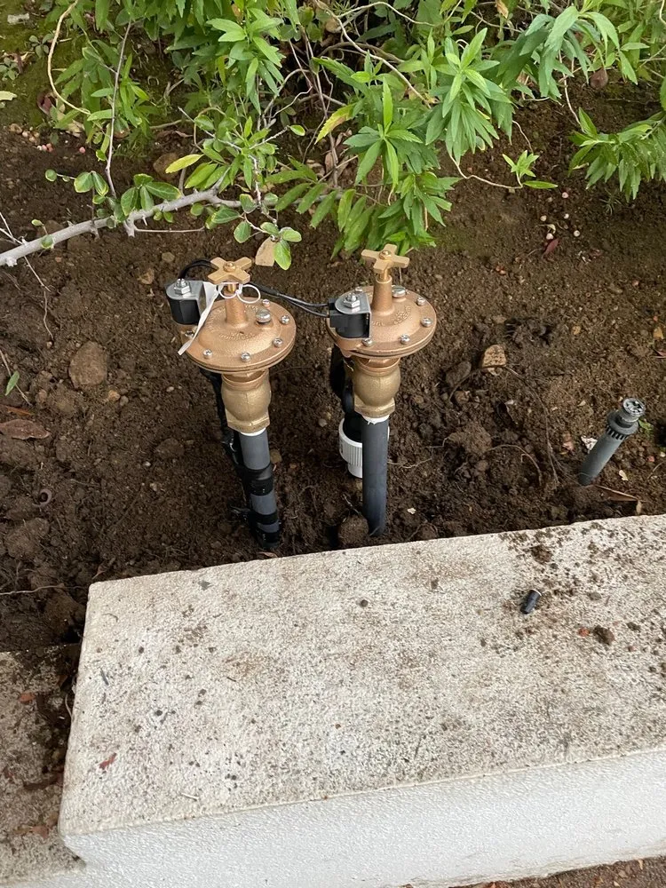 Reliable landscaping services experts serving Los Angeles, CA - Immaculate Landscape