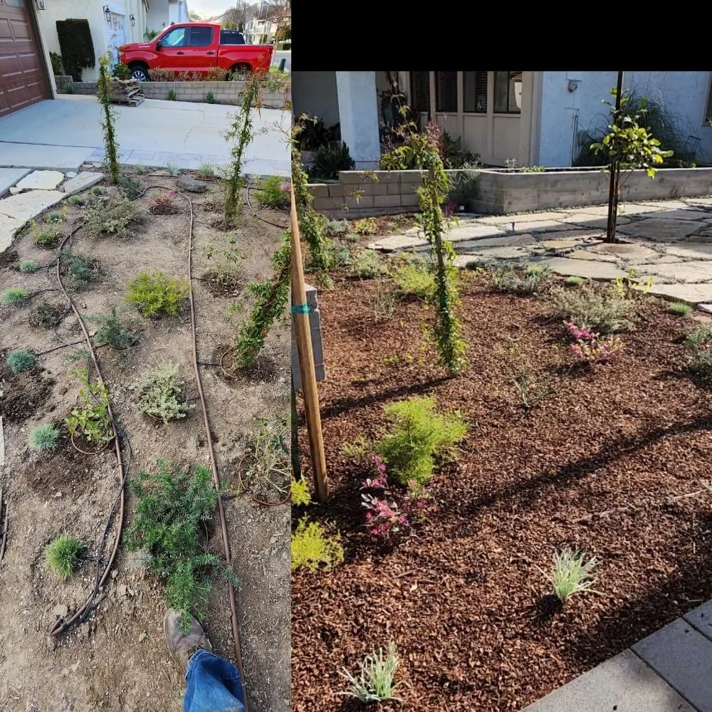 Top-rated lawn mowing service for outdoor upgrades in Los Angeles, CA by Immaculate Landscape