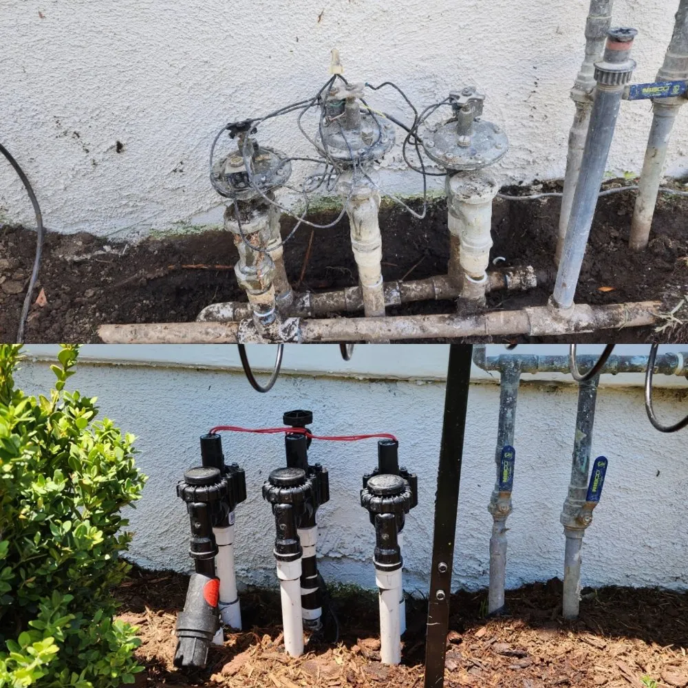 Reliable yard maintenance experts serving Los Angeles, CA - Immaculate Landscape