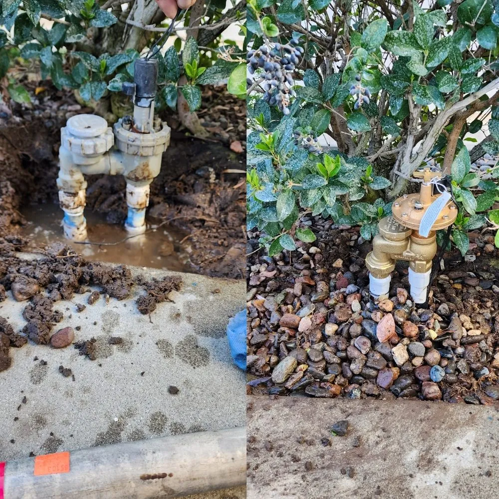 Professional garden landscaping in Los Angeles, CA by Immaculate Landscape