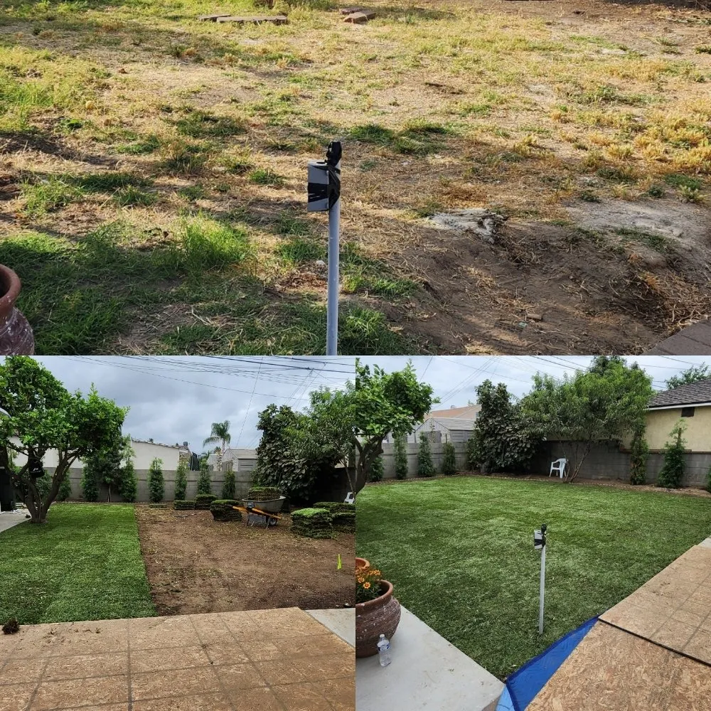 Trusted landscaping services experts serving Los Angeles, CA - Immaculate Landscape