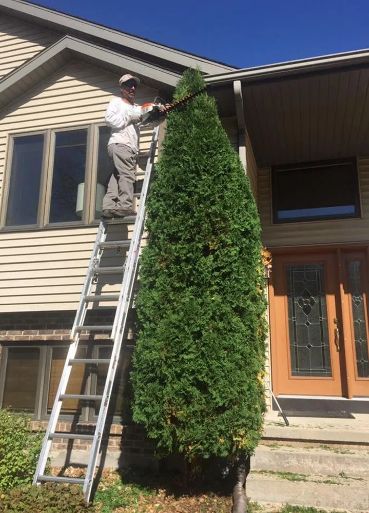 Custom yard maintenance near you in Monona, WI by Immaculate Landscaping & Snow Removal