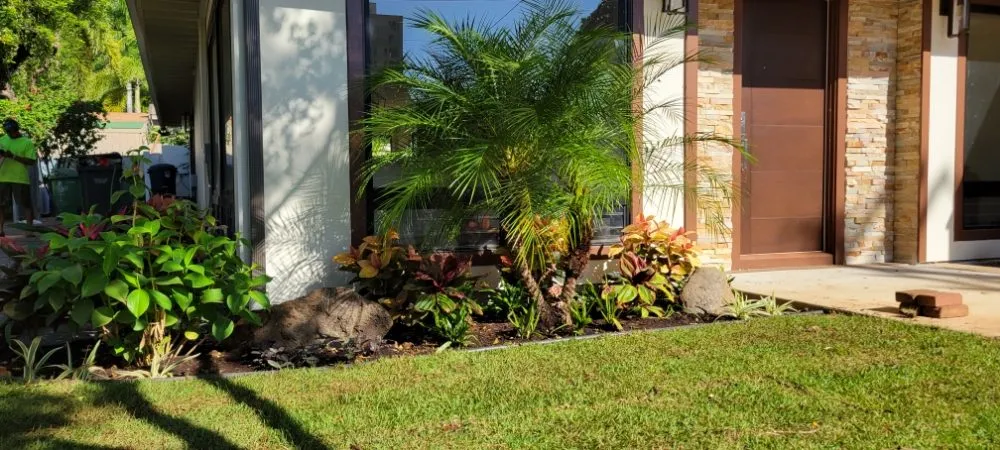 Trusted yard maintenance for outdoor upgrades across Kailua, HI - Immaculate Landscaping