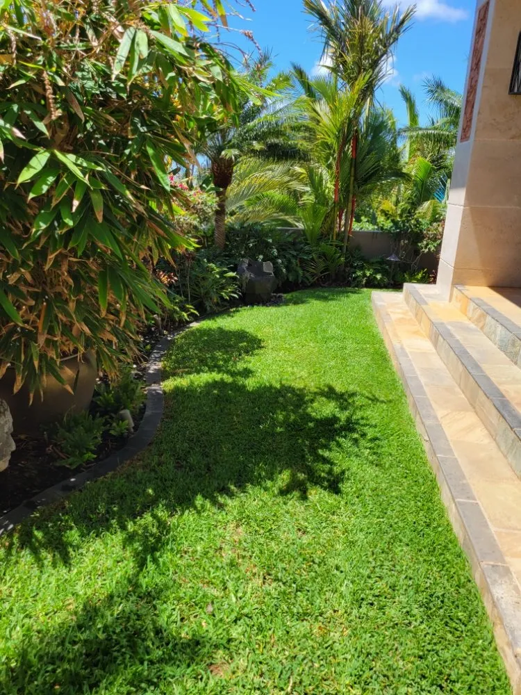 Professional lawn care service for outdoor upgrades in Kailua, HI by Immaculate Landscaping