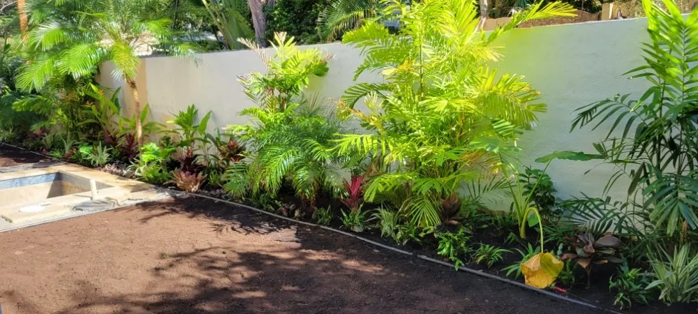Top-rated landscaping services in Kailua, HI by Immaculate Landscaping