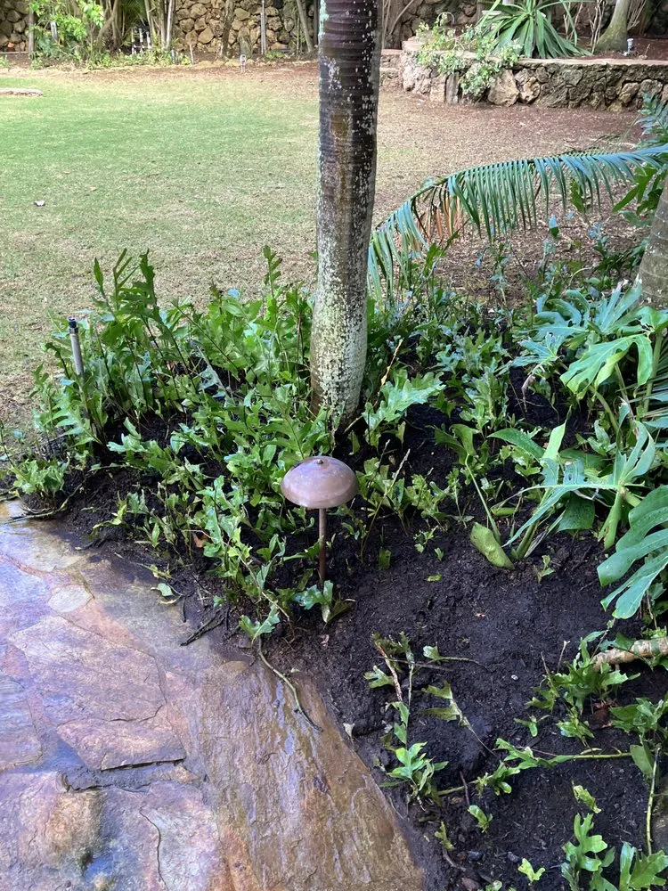 Custom landscape design for homes across Kaneohe, HI - Immaculate Landscaping