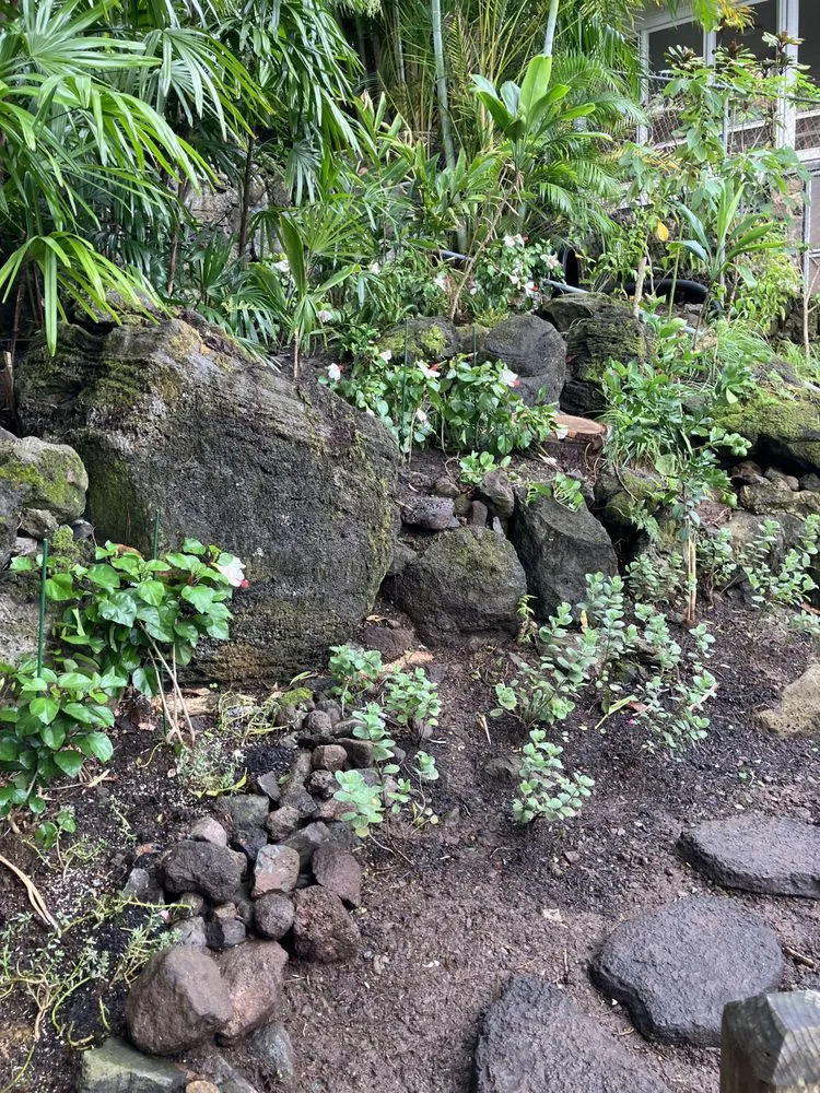 Expert residential landscaping in Kaneohe, HI by Immaculate Landscaping