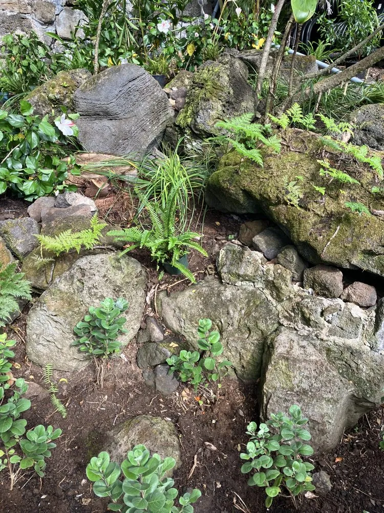 Custom landscape installation for residential properties in Kaneohe, HI by Immaculate Landscaping