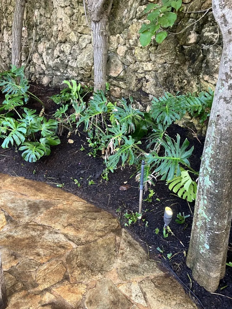 Local residential landscaping for homes across Kaneohe, HI - Immaculate Landscaping