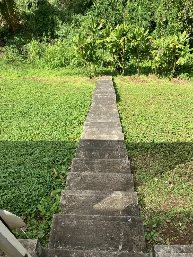 Top-rated lawn care service in Kaneohe, HI by Immaculate Landscaping