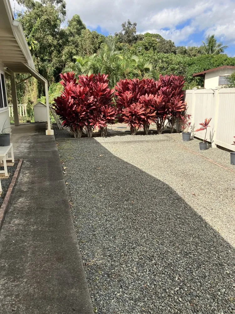 Top-rated outdoor landscaping in Kaneohe, HI - Immaculate Landscaping