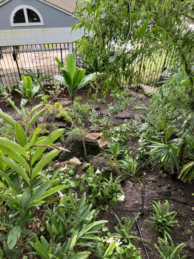 Expert garden landscaping with custom design across Kaneohe, HI - Immaculate Landscaping