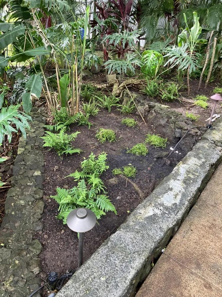 Trusted garden landscaping for beautiful yards in Kaneohe, HI by Immaculate Landscaping