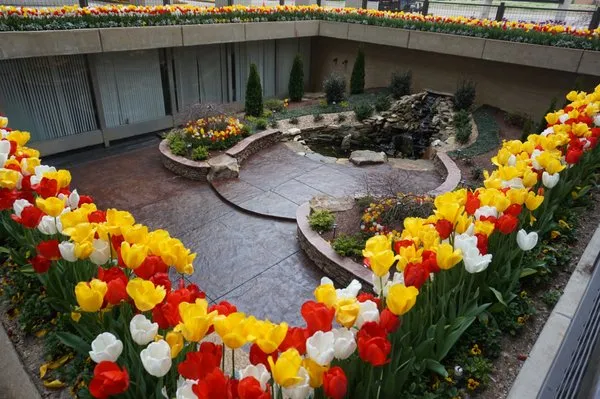 Immaculate Landscaping Logo