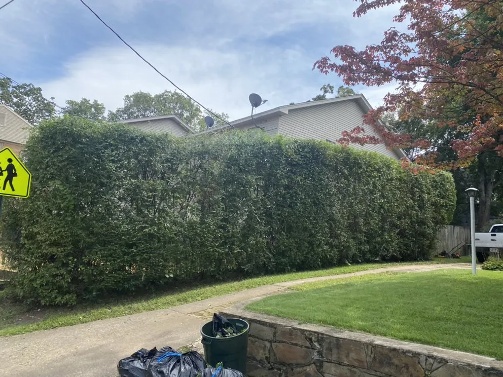 Local outdoor landscaping in Little Rock, AR by Immaculate lawn and landscaping