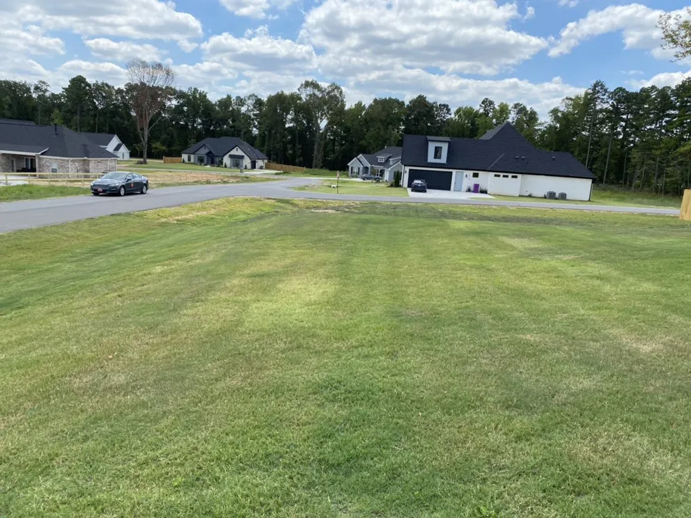 Custom yard maintenance in Little Rock, AR by Immaculate lawn and landscaping