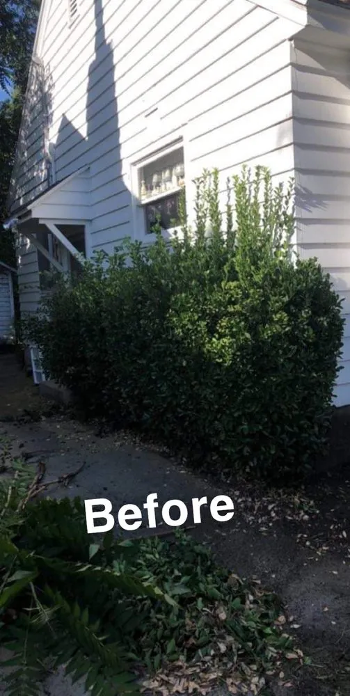 Expert lawn care service experts serving Ogden, UT - Immaculate Lawn Care