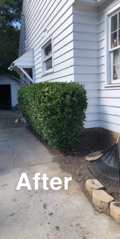 Reliable landscape installation in Ogden, UT by Immaculate Lawn Care