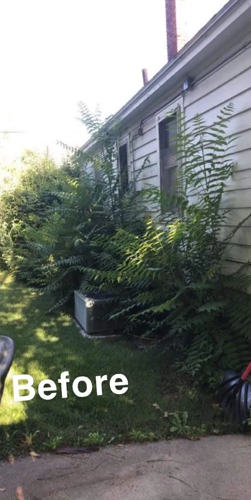 Expert landscape installation experts serving Ogden, UT - Immaculate Lawn Care