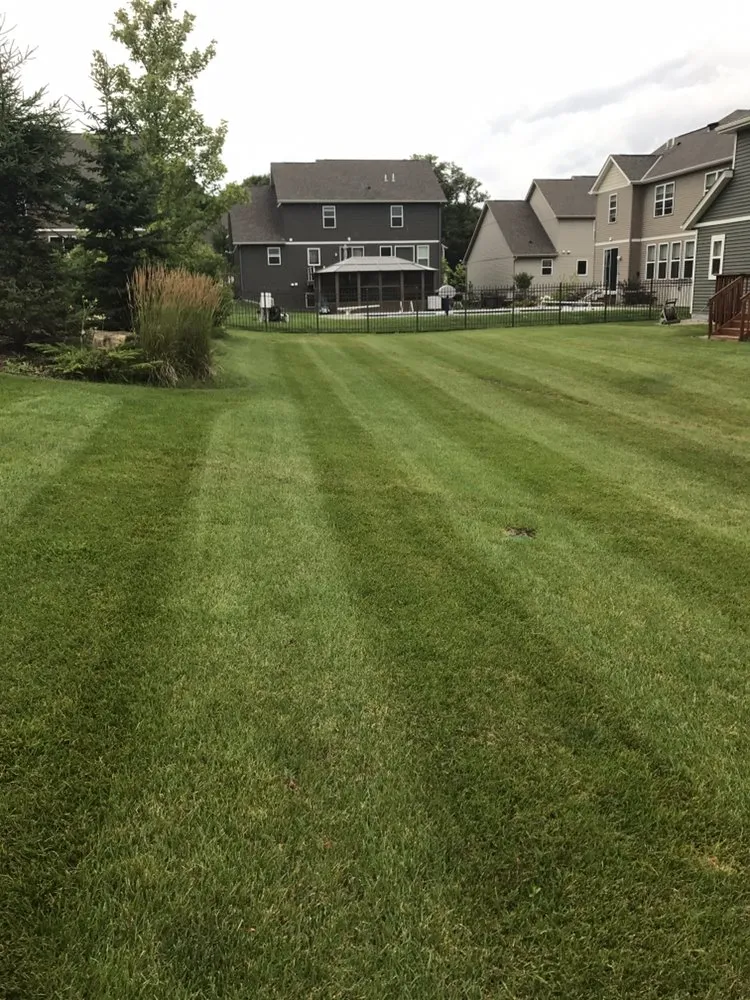 Top-rated garden landscaping experts serving Saint Paul, MN - Immaculate Lawn Care