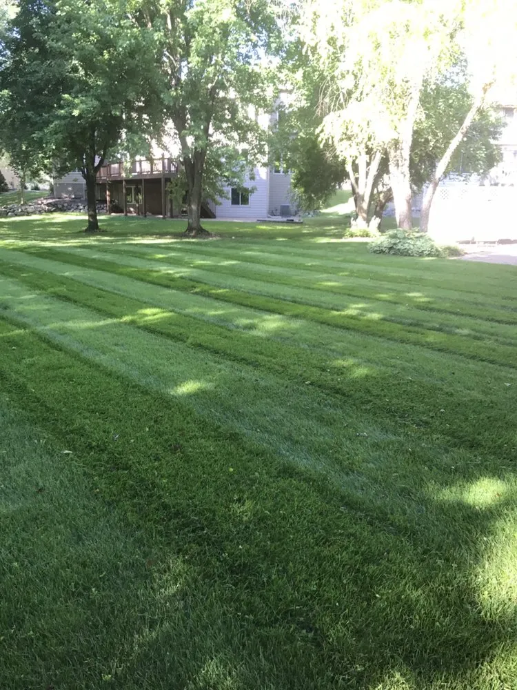 Top-rated landscaping services near you across Saint Paul, MN - Immaculate Lawn Care