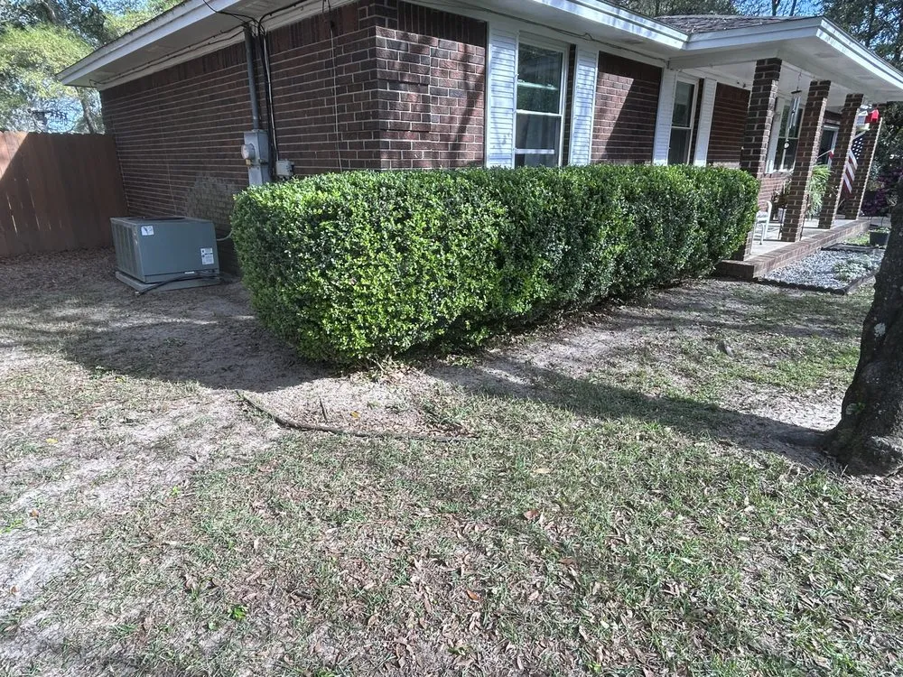 Affordable outdoor landscaping in Milton, FL by Immaculate Lawn Service
