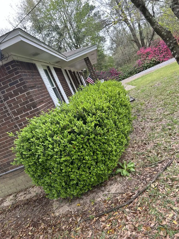 Trusted garden landscaping for year-round maintenance in Milton, FL by Immaculate Lawn Service