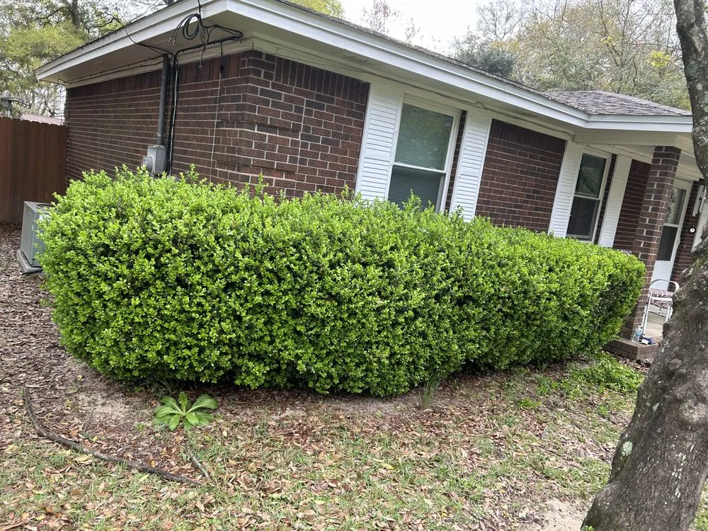 Reliable landscaping services in Milton, FL by Immaculate Lawn Service