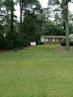 Immaculate Lawns & Turf Professionals Logo