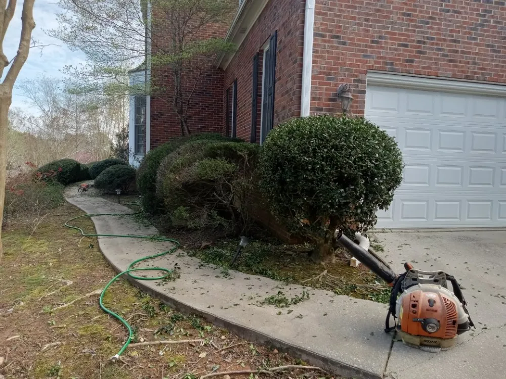 Expert lawn care service in Monticello, GA by Immaculate Maintenance And Landscaping