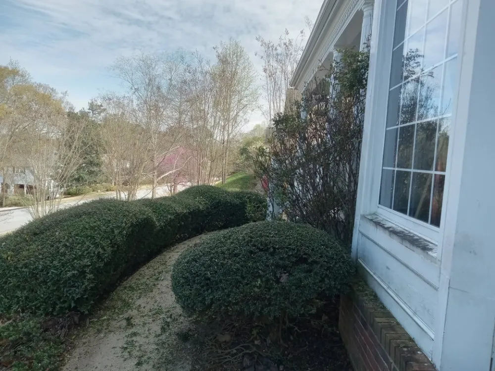 Top-rated outdoor landscaping experts serving Monticello, GA - Immaculate Maintenance And Landscaping