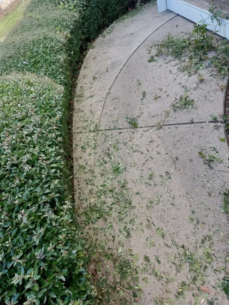 Affordable garden landscaping experts serving Monticello, GA - Immaculate Maintenance And Landscaping