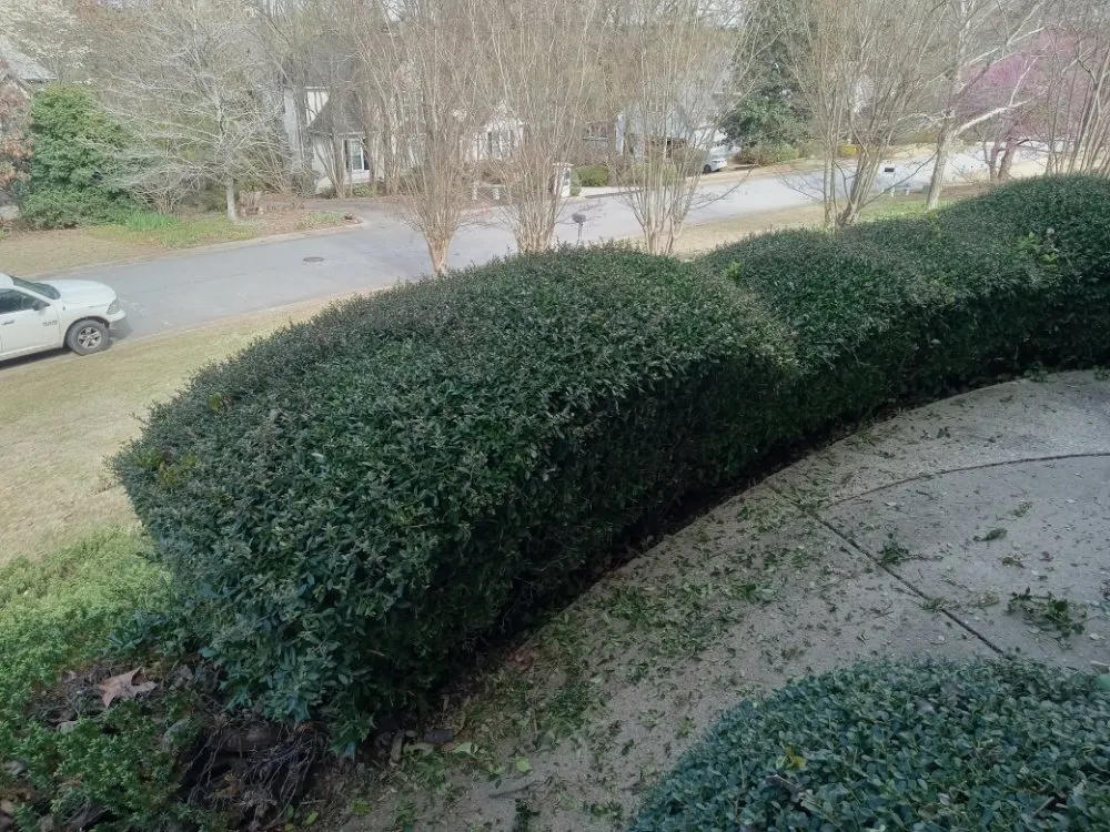 Reliable yard cleanup service for beautiful yards in Monticello, GA by Immaculate Maintenance And Landscaping