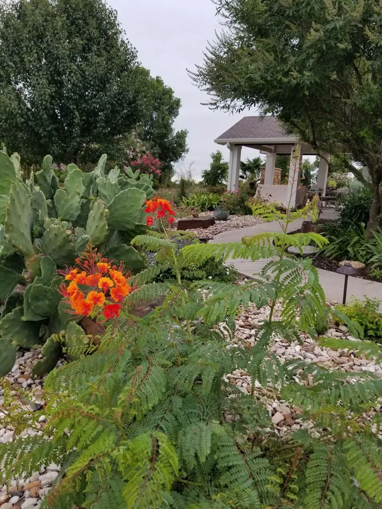 Affordable outdoor landscaping experts serving Leander, TX - Immaculate Outdoor