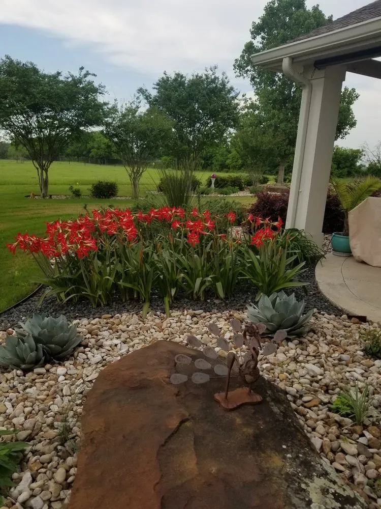 Local lawn care service for outdoor upgrades in Leander, TX by Immaculate Outdoor