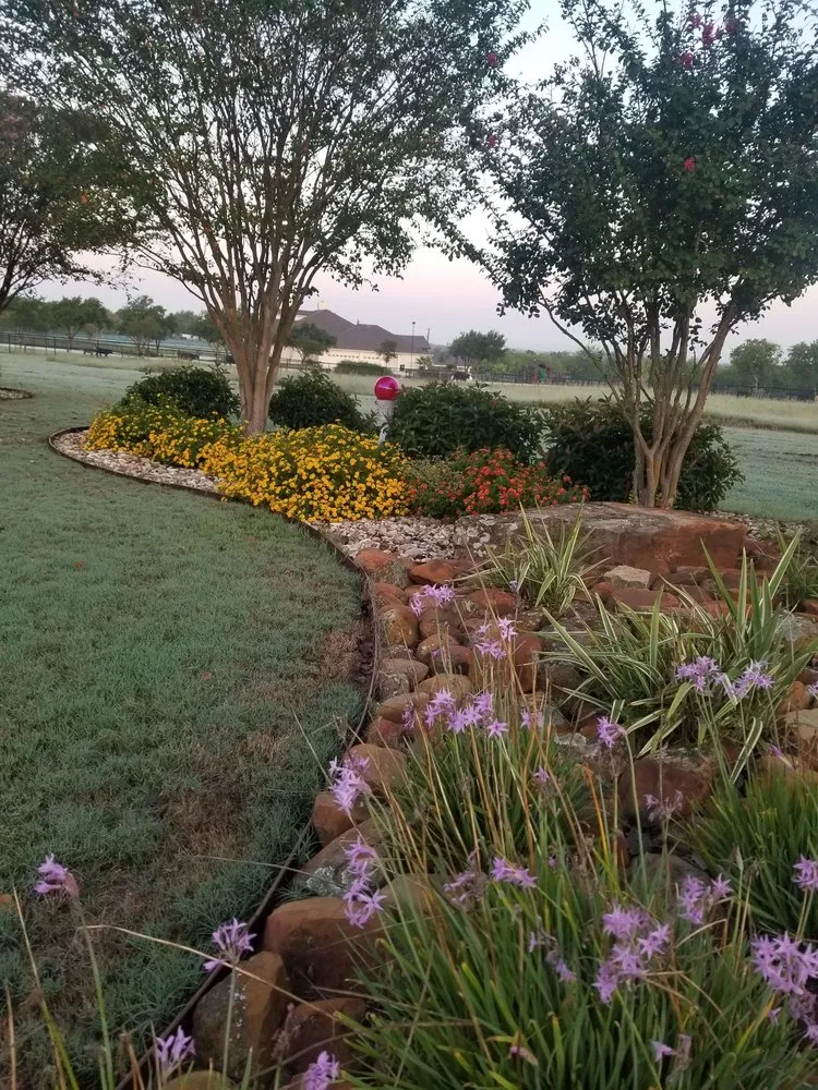 Top-rated landscape installation in Leander, TX - Immaculate Outdoor