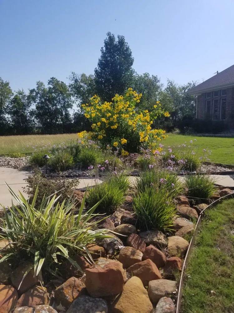 Trusted lawn care service in Leander, TX by Immaculate Outdoor