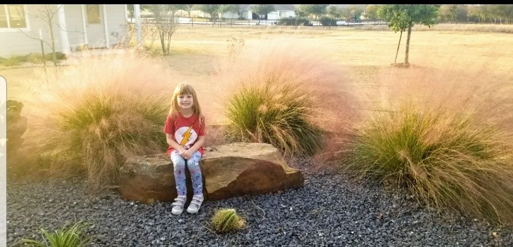 Affordable garden landscaping experts serving Leander, TX - Immaculate Outdoor