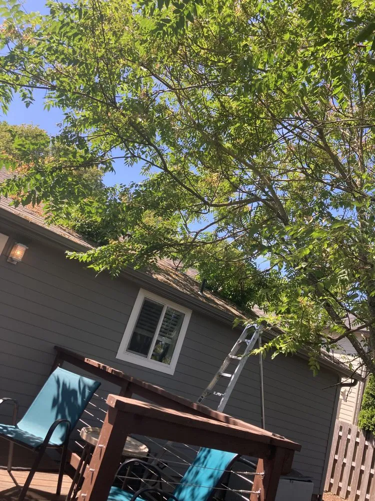 Expert outdoor landscaping in Clackamas, OR by Immaculate Outdoor Services