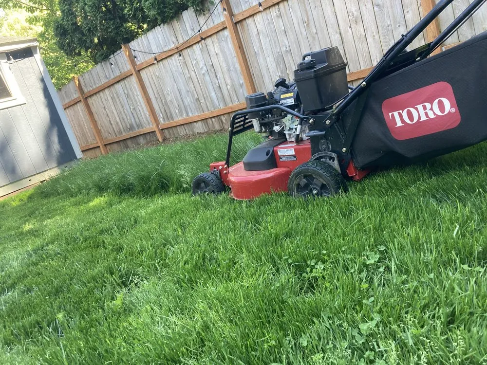 Expert garden landscaping with custom design across Clackamas, OR - Immaculate Outdoor Services