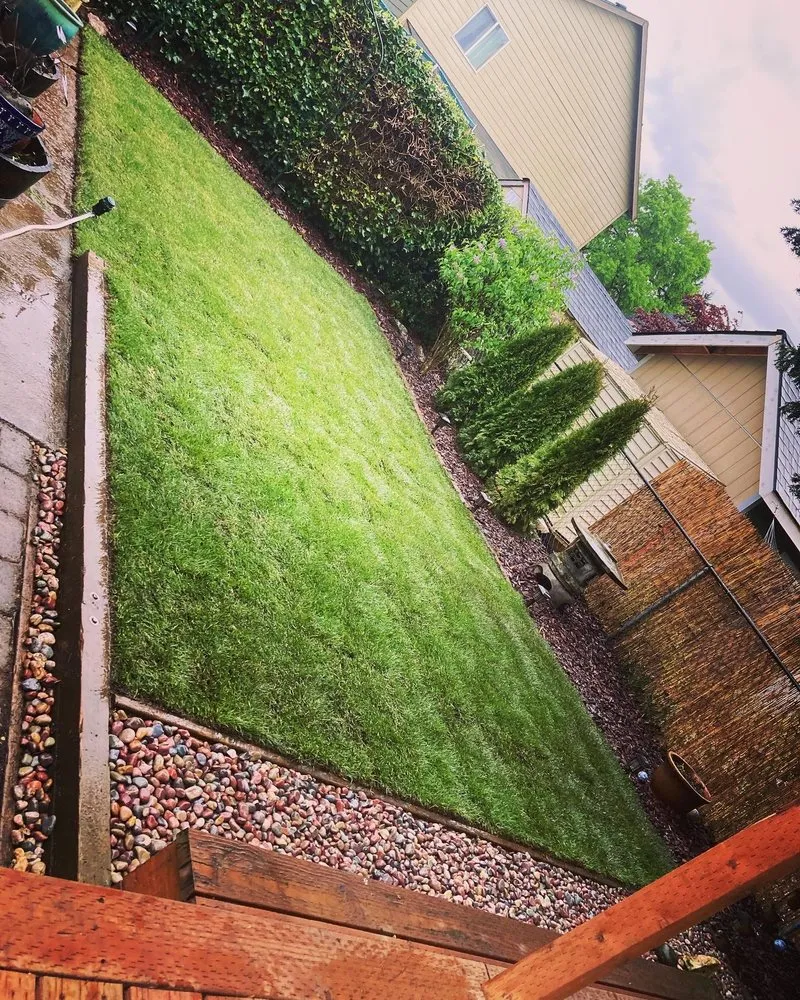 Custom landscape installation in Clackamas, OR - Immaculate Outdoor Services