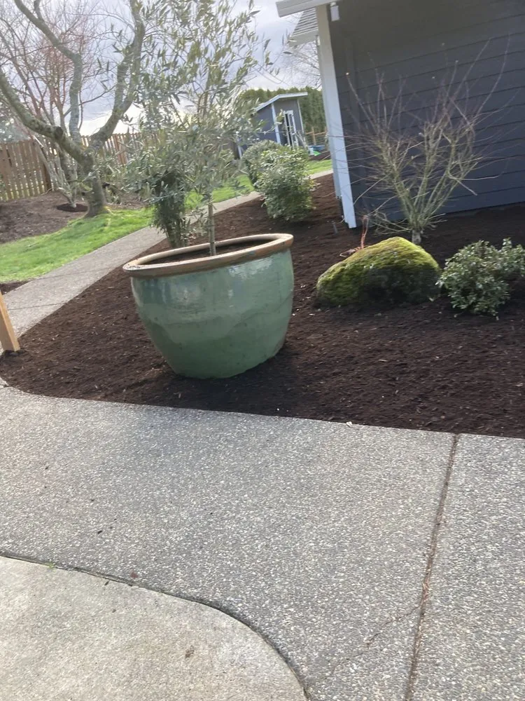 Local yard cleanup service experts serving Clackamas, OR - Immaculate Outdoor Services