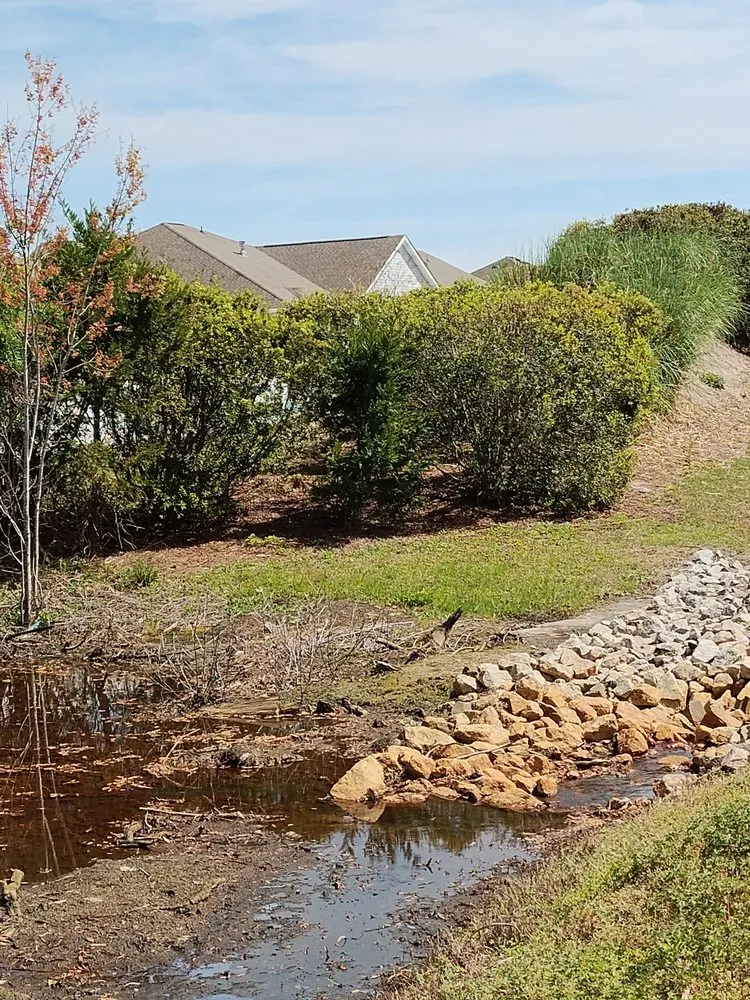 Reliable lawn mowing service in Loris, SC - Immaculate Trims